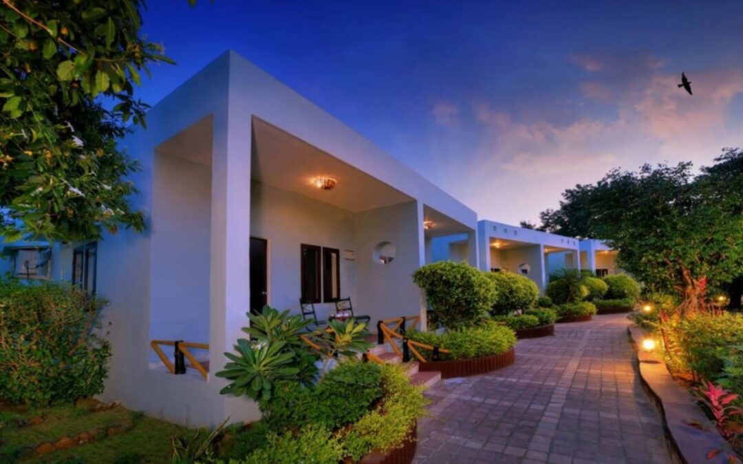 Treehouse The Pugmark, Ranthambore