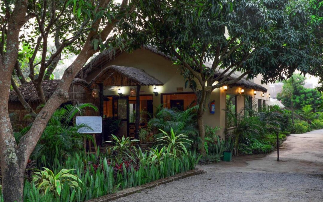 Corbett Tigers n Trees